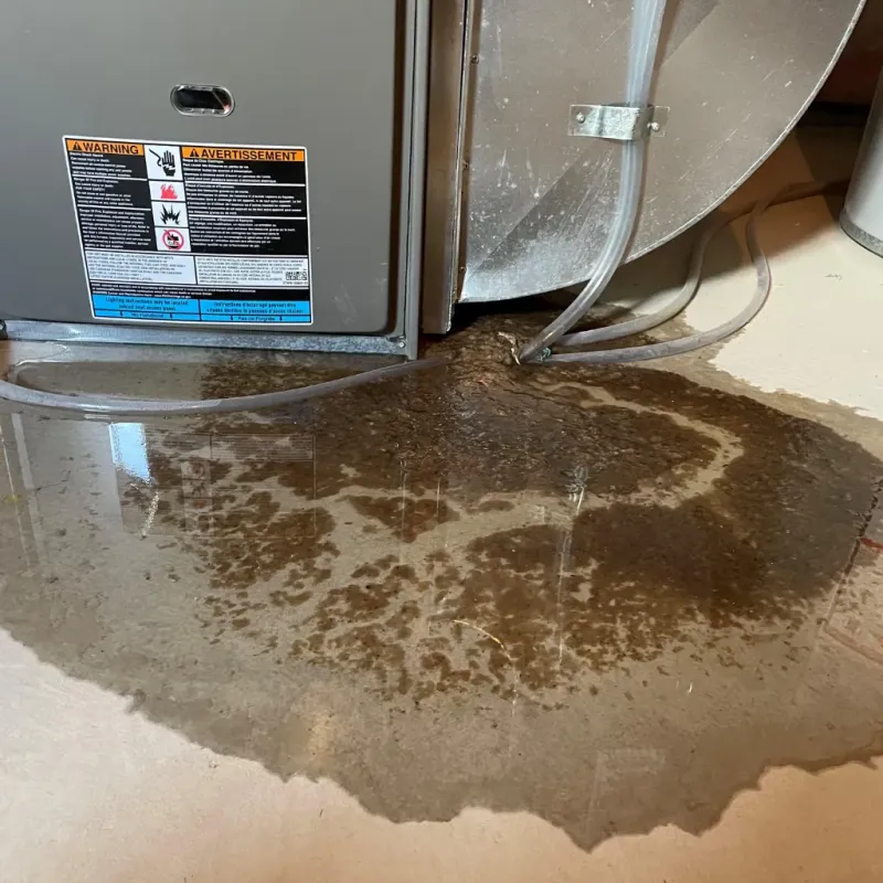 Appliance Leak Cleanup in Oilton, OK